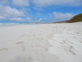 Galapagos Island