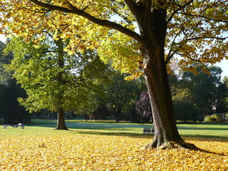 colori dell'autunno