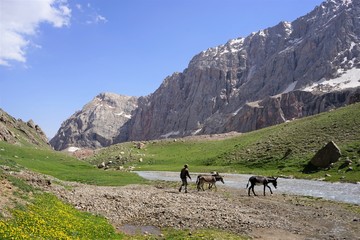 Fototapeta na wymiar Man and two donkeys crossing the river in the mountains, Fann Mountains, Tajikistan 