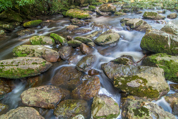 Beautiful waterfalls on the hilltop in the forest of Thailand