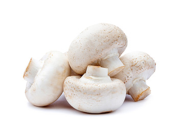 Isolated champignon mushrooms on white background