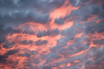 Pink cottton candy clouds at sunset.