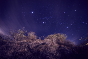 Fototapeta premium starry sky seen from the perspective of a small town in Latin America