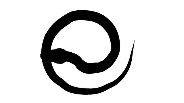 Silhouette of a snake. Alpha channel. Alpha matte. FullHD.