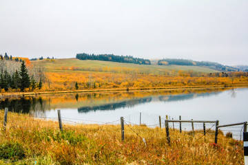 Ponds dot the landscapeKananaskis Country, Alberta, Canada