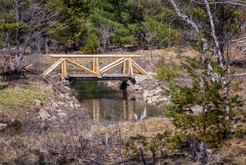 Small Wooden Bridge Over Creek With Small Pine