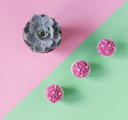 Three cupcake and succulent, diagonal, pink and green background