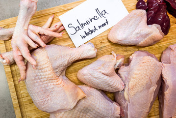 Chicken meat infected by salmonella bacteria