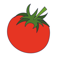 tomato fresh vegetable cartoon