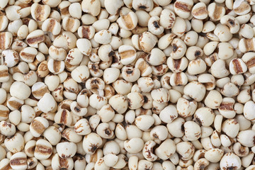 Job's tears has high fiber