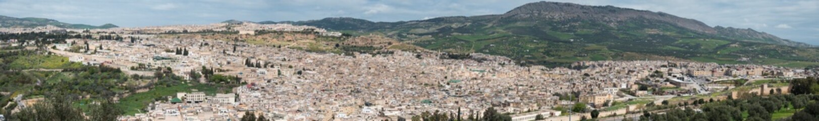 Fototapeta na wymiar Fez landscape