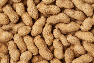 peanuts background texture