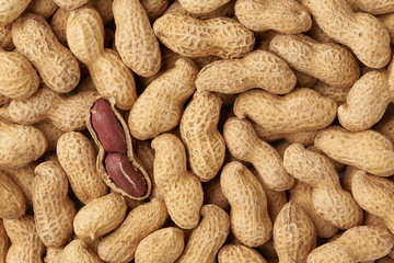 peanuts background texture