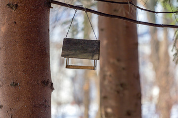 nesting box for starlings blue tits and wild birds in the forest