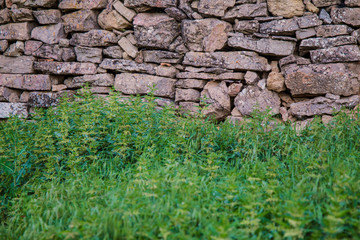 Muro antiguo de piedras de colores