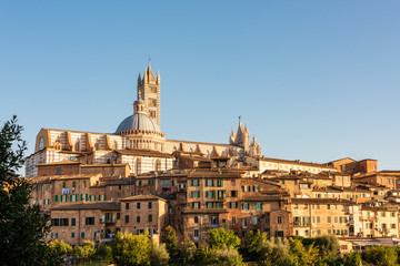 Fototapeta premium Stimmungsvoll das Stadtpanorama von Siena im spätsommerlichem Abendlicht