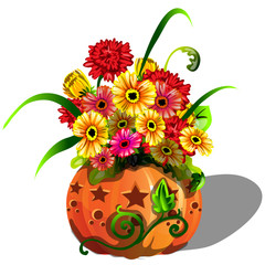 Handmade autumn decor of fresh flowers gerbera in natural vase of ripe pumpkin cut holes in the shape of a star isolated on white background. Vector cartoon close-up illustration.