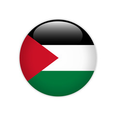 Fototapeta premium Palestine flag on button