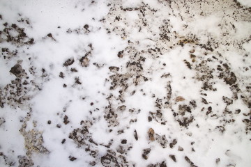 dirty spring snow