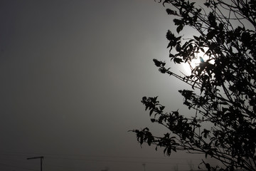 silhouette on the sky 