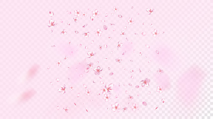 Nice Sakura Blossom Isolated Vector. Feminine Blowing 3d Petals Wedding Border. Japanese Bokeh Flowers Illustration. Valentine, Mother's Day Magic Nice Sakura Blossom Isolated on Rose