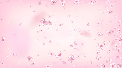 Nice Sakura Blossom Isolated Vector. Spring Flying 3d Petals Wedding Pattern. Japanese Blurred Flowers Wallpaper. Valentine, Mother's Day Beautiful Nice Sakura Blossom Isolated on Rose