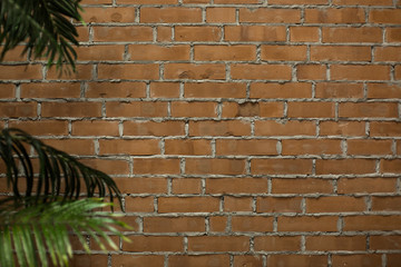 Brick wall with palm tree