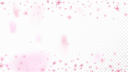 Nice Sakura Blossom Isolated Vector. Magic Showering 3d Petals Wedding Border. Japanese Gradient Flowers Wallpaper. Valentine, Mother's Day Feminine Nice Sakura Blossom Isolated on White