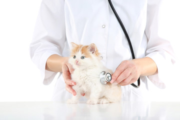 Veterinarian with kitten and stethoscope