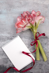 Open blank notepad and bouquet of pink  flowers on table top view in flat lay style