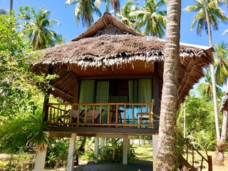 bungalow avec palmier