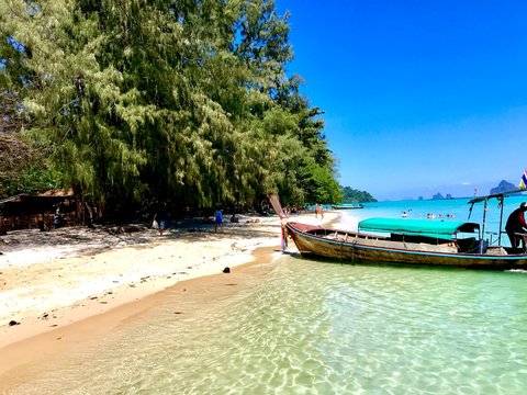 magnifique plage de sable blanc avec palmier