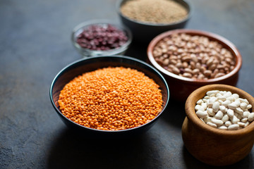 Assortment of legumes: beans and lentils. Raw healthy food. Vegetable protein. Dark background. Close up. Space for text