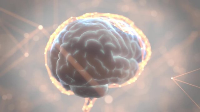 Brain  Digital Scanning 360 frames Loop