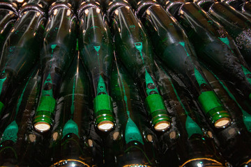 green bottles filled with white wine and stored