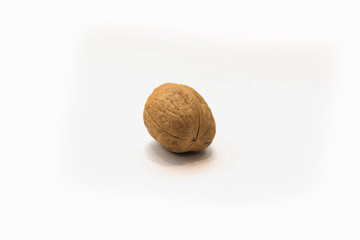Walnut isolated in white background. Dried nutshell crust