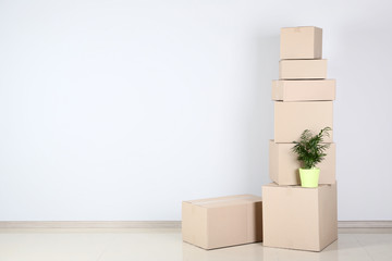 Cardboard boxes with green plant on grey background