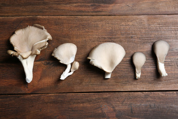 Delicious organic oyster mushrooms on wooden background, flat lay