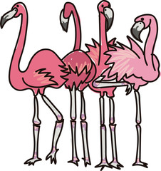Flamingos