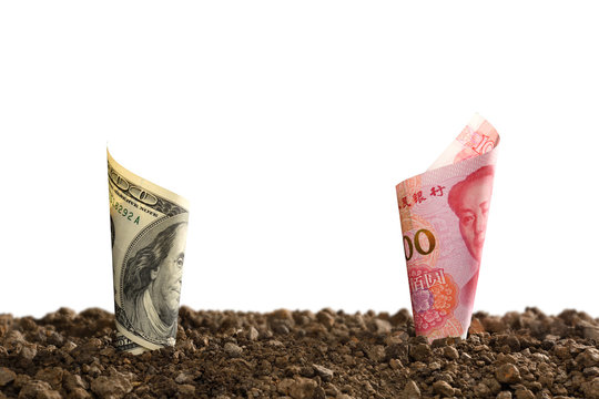 Image of China Yuan banknote and US dollar banknote on top of soil for business, saving, growth, economic concept isolated on white background