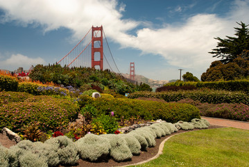 526-18 Golden Gate Park and Bridge