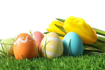 Fototapeta na wymiar Colorful painted Easter eggs and flowers on green grass against white background