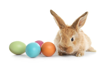 Fototapeta na wymiar Adorable furry Easter bunny and colorful eggs on white background