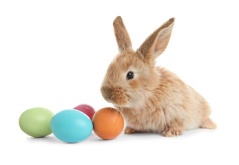 Adorable furry Easter bunny and colorful eggs on white background