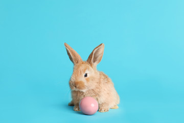 Adorable furry Easter bunny and dyed egg on color background