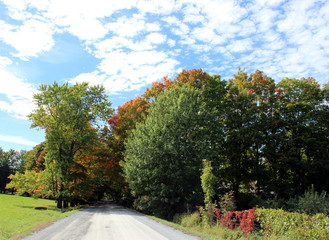 Country Road in Fall in Dunham, Quebec