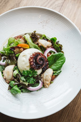 Top view of Smoked Galician Octopus with Burrata Cheese, radish, green oak and tomato.