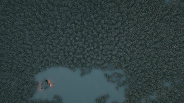 A pine-tree forest covered in snow on a dark winter night, in the midst of it is a cozy holiday-hut. View from above.