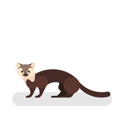 Marten animal. Wild mammal. A forest predator