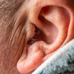 Ear of an old man